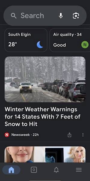 Google Browser Ios App Changes Search